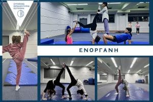 ΕΝΟΡΓΑΝΗ-870-×-580-px