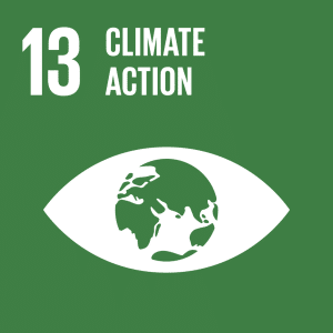 TheGlobalGoals_Icons_Color_Goal_13-1-1160x1160